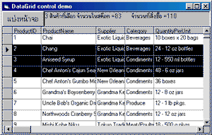 datagrid visual basic